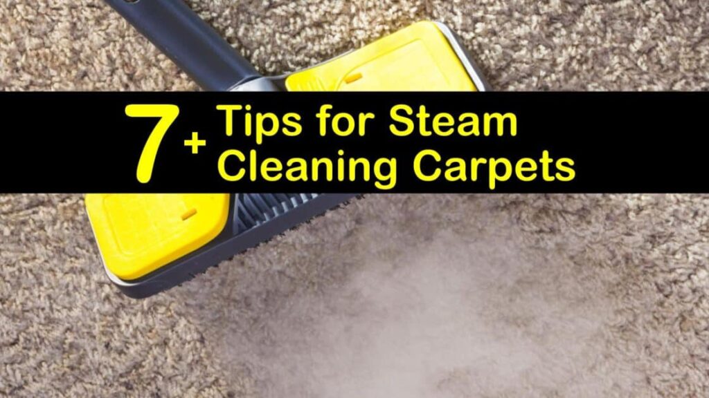 how-to-steam-clean-carpet-heron-ceilings